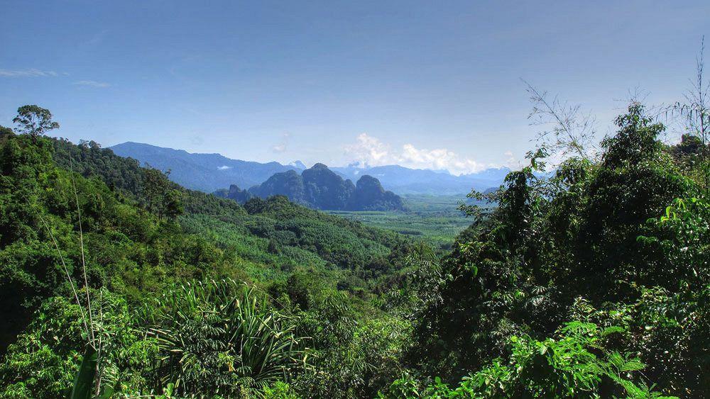 Khao Sok Riverside Cottage Khao Sok National Park Exterior photo