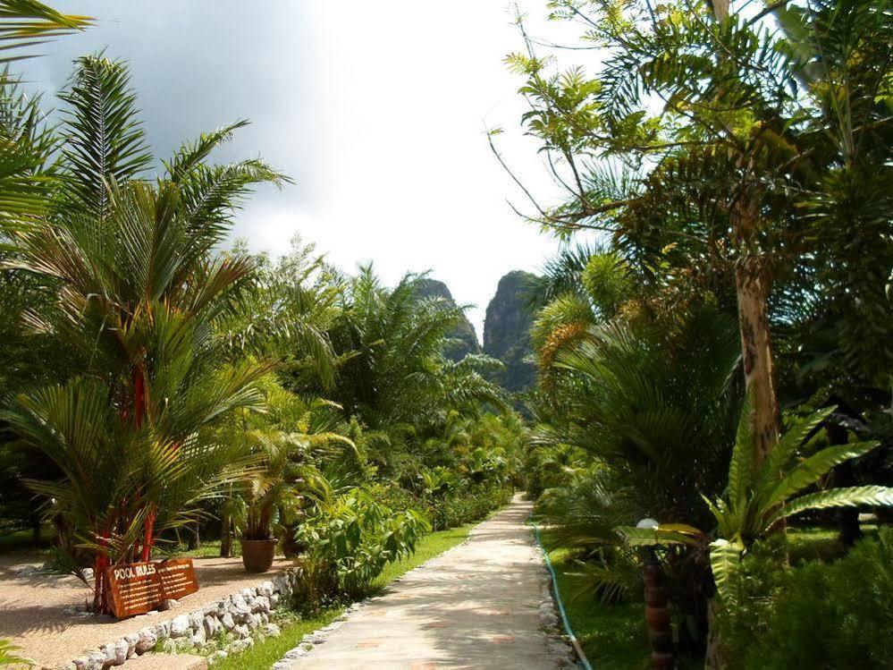 Khao Sok Riverside Cottage Khao Sok National Park Exterior photo